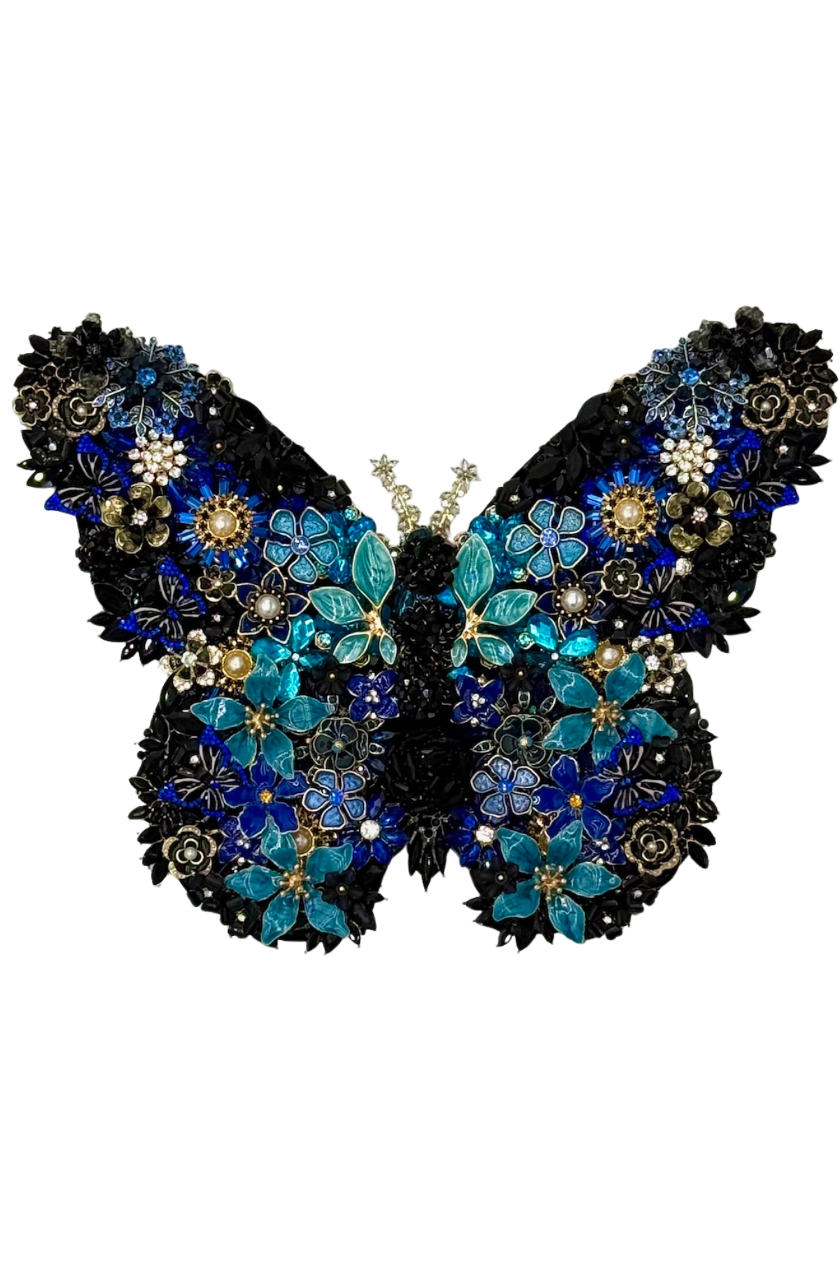 Midnight Blue Butterfly