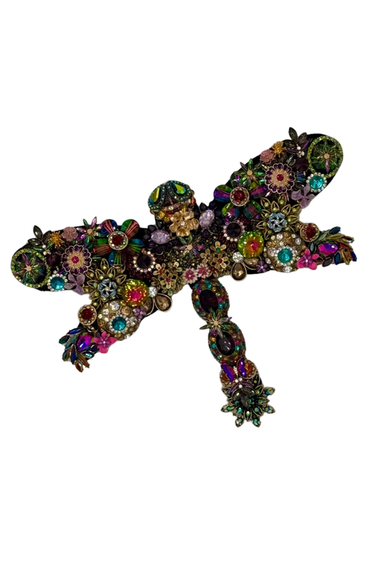 Regal Glider Dragonfly