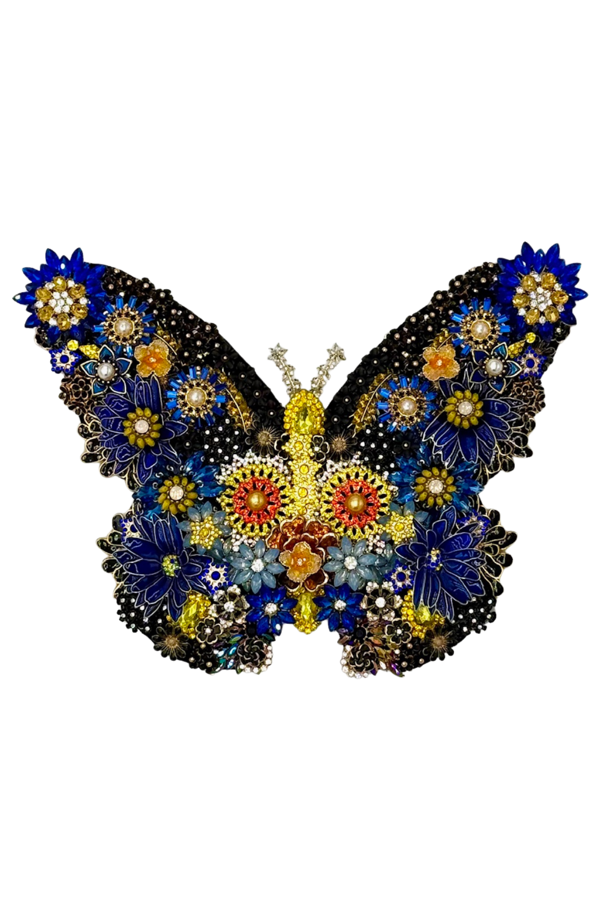 Starry Flight Butterfly